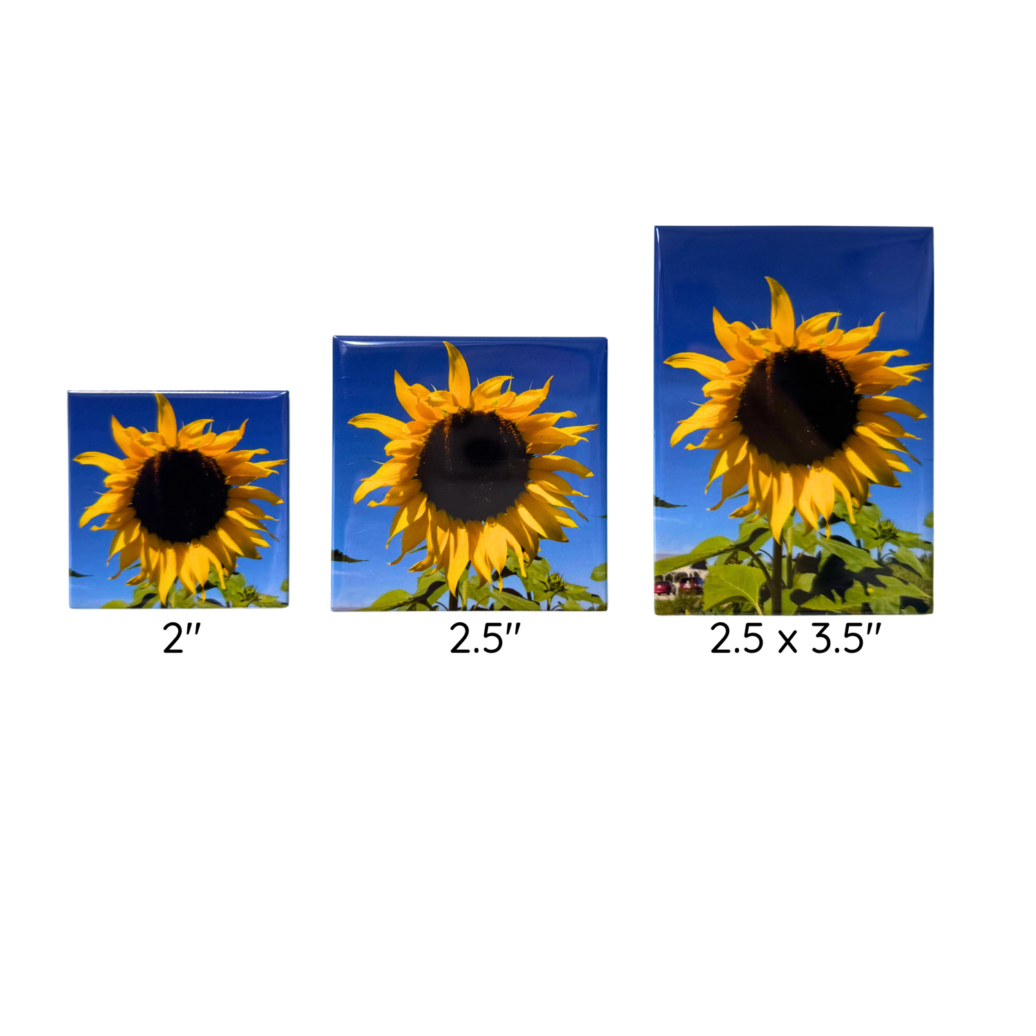 Custom Photo Magnets