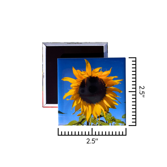 Custom Photo Magnets - 2.5" Square